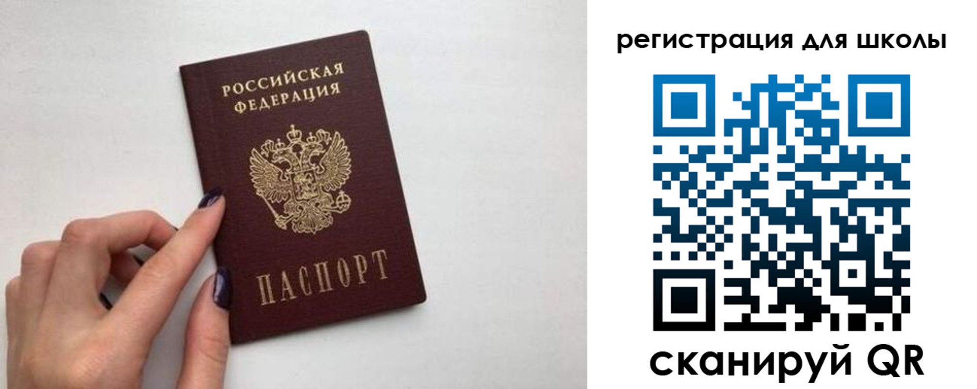 прописка поиск в Могочи
